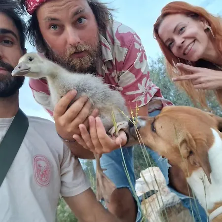 Wildspirit At Wildspirit Eco Cultural Farm مزرعة للإقامة *